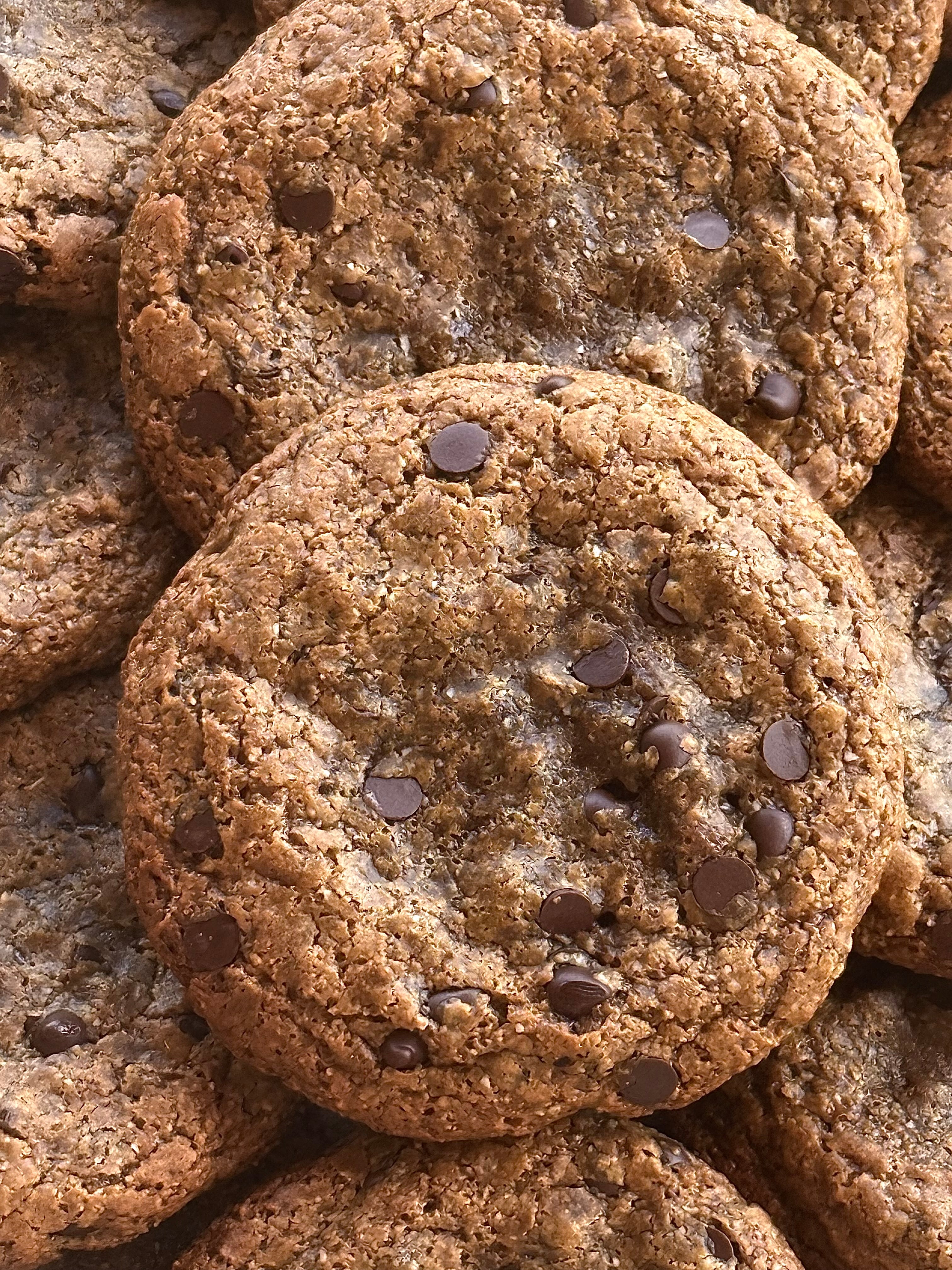 Chocolate Chip Cookie