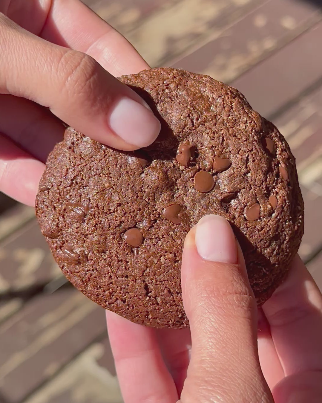 Chocolate Fudge Cookie
